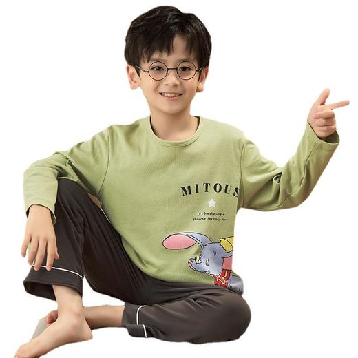 男童睡衣2022新款纯棉薄款中大童男孩长袖套装秋季休闲儿童家居服 商品图4