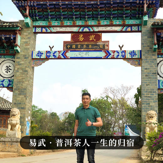 【最后1饼，售罄再无】【超值拼团秒杀】高货好茶【千秋万代】【无铜盒包装】2023年头春茶，易武六棵千年以上特大树拼配而制聚众山之荣成一茶之耀全网独一家错过再无 商品图9