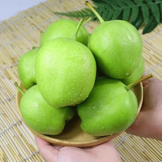 金花梨 500g//香甜可口 美味健康 商品图0