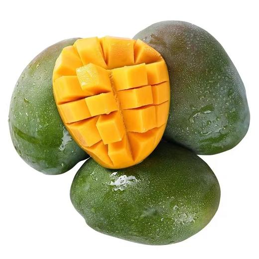 凯特芒 商品图0