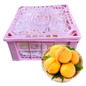 炎陵黄桃（礼盒） 4枚装