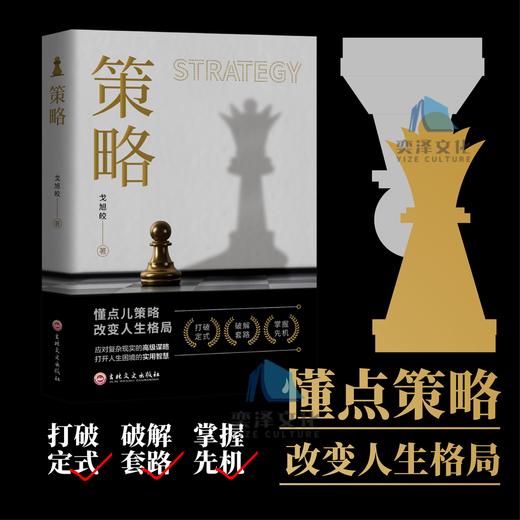 策略 懂点策略 来应对复杂现实中的谋略打开人生困境的实用智慧kb 商品图0