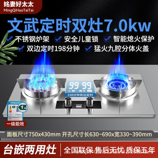 【家用电器】-煤气灶双灶家用定时炉台嵌两用 商品图1