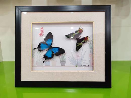 杨凌特色工艺品 商品图3