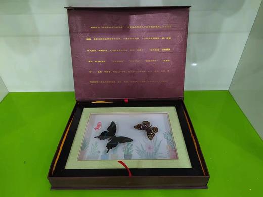 雪萍158双碟 商品图2