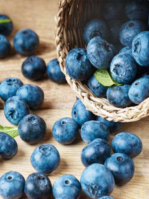 英雄牌蓝莓果酱340g 商品图4