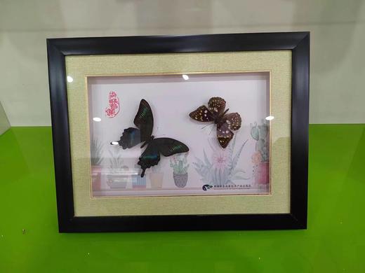 雪萍158双碟 商品图3