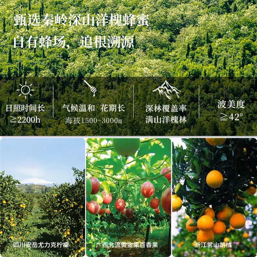 养蜂婆婆柚子蜂蜜130g 商品图3