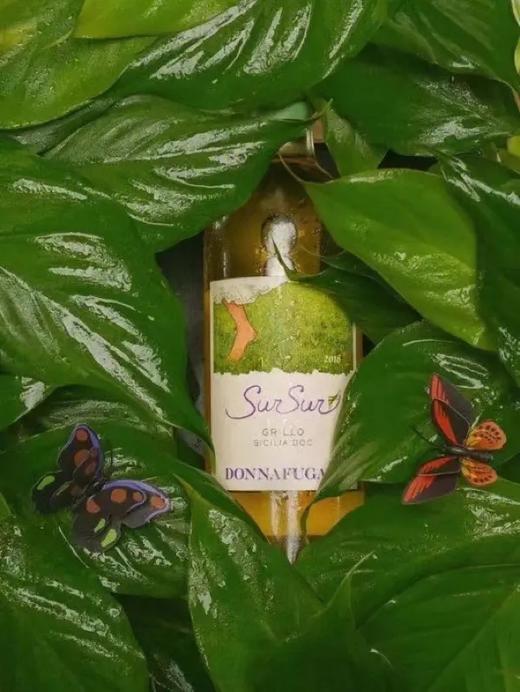 多娜佳塔苏苏格里洛白葡萄 Donnafugata Sur Sur Grillo 商品图3