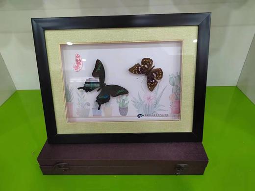 雪萍158双碟 商品图0