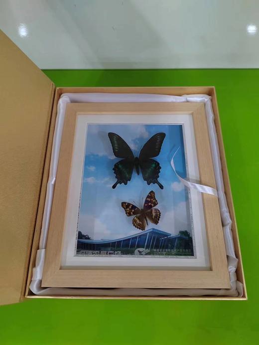 缘梦168 商品图3