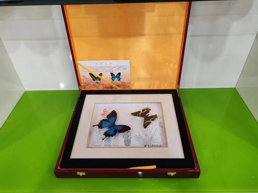 杨凌特色工艺品 商品图2