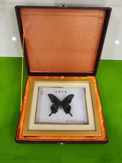 蝶舞138单蝶 商品图3