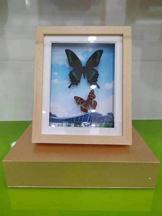 缘梦168 商品图0