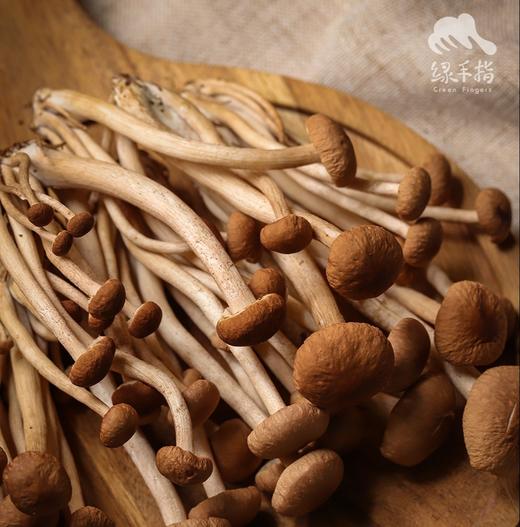 有机茶树菇 | 绿家自产 *Organic mushroom | Self-production 商品图6