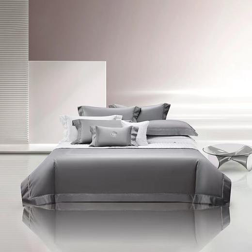 【6F】罗莱·粹 砾岩灰 DY1758-4 商品图0