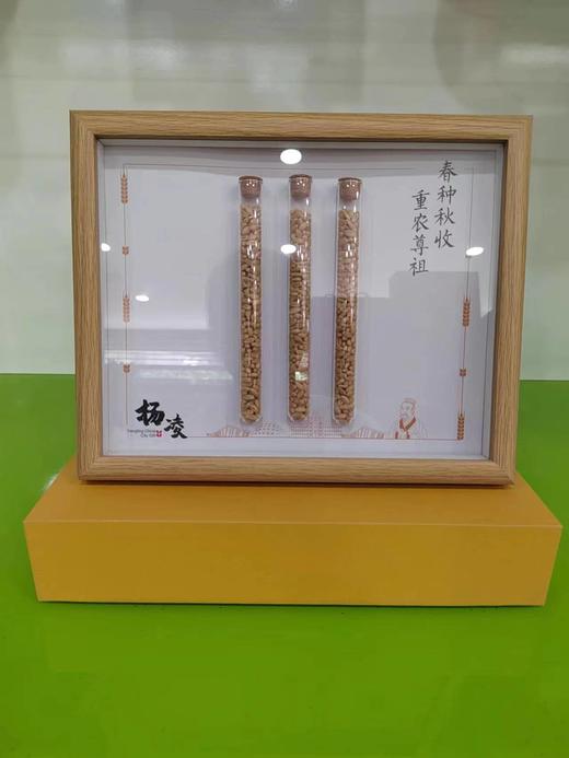 杨凌礼物  麦种 商品图3
