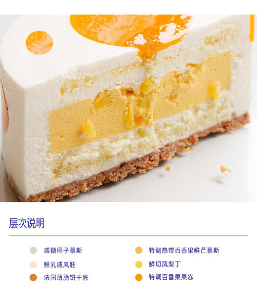 热带雨林（椰子，芒果，百香果，凤梨） 商品图1