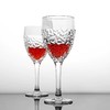 【特惠7折】捷克进口BOHEMIA  尼克莱特红酒杯北欧风轻奢家用高脚杯 商品缩略图5
