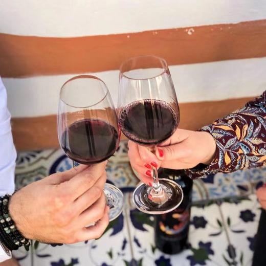 多娜佳塔东方公主红葡萄酒  2019 Donnafugata Sherazade nero d'avola2019 商品图5