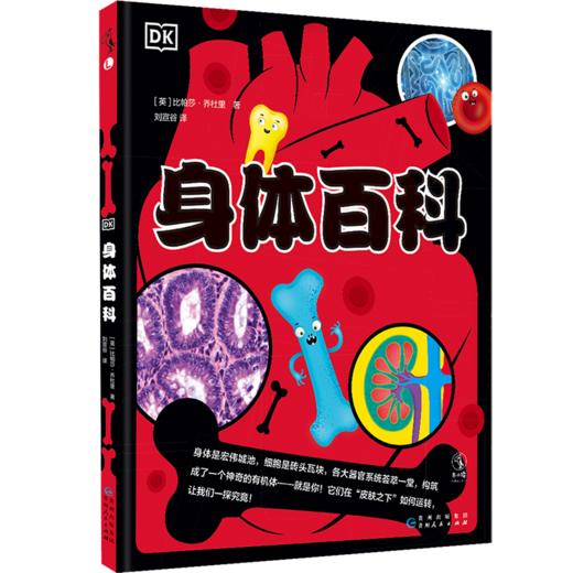 9岁+ DK少儿生理健康百科系列 4册  未读 商品图4