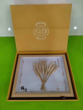 杨凌礼物  麦穗