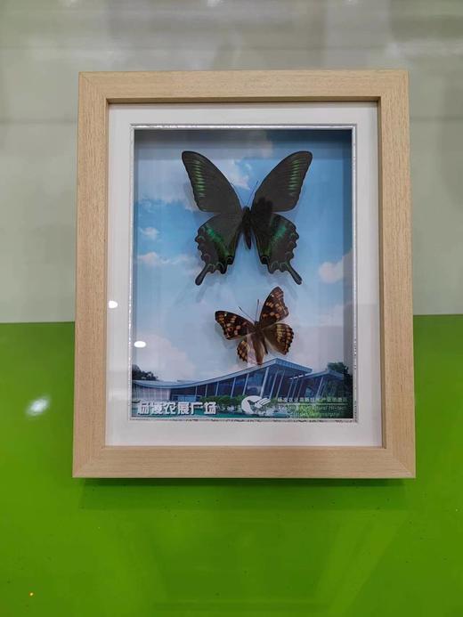 缘梦168 商品图4