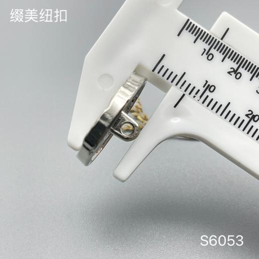 S6053(整包购买) 商品图4