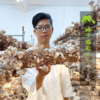 有机茶树菇 | 绿家自产 *Organic mushroom | Self-production 商品缩略图5