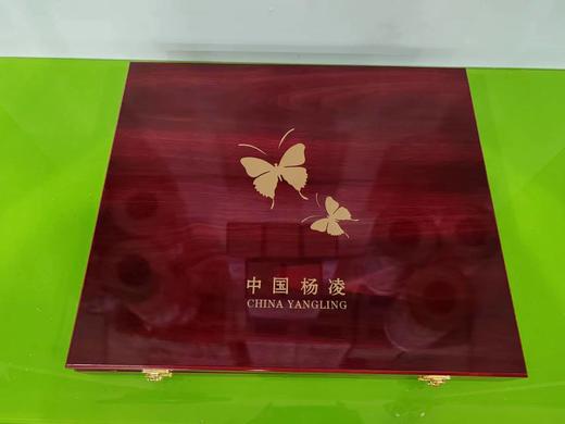 杨凌特色工艺品 商品图1