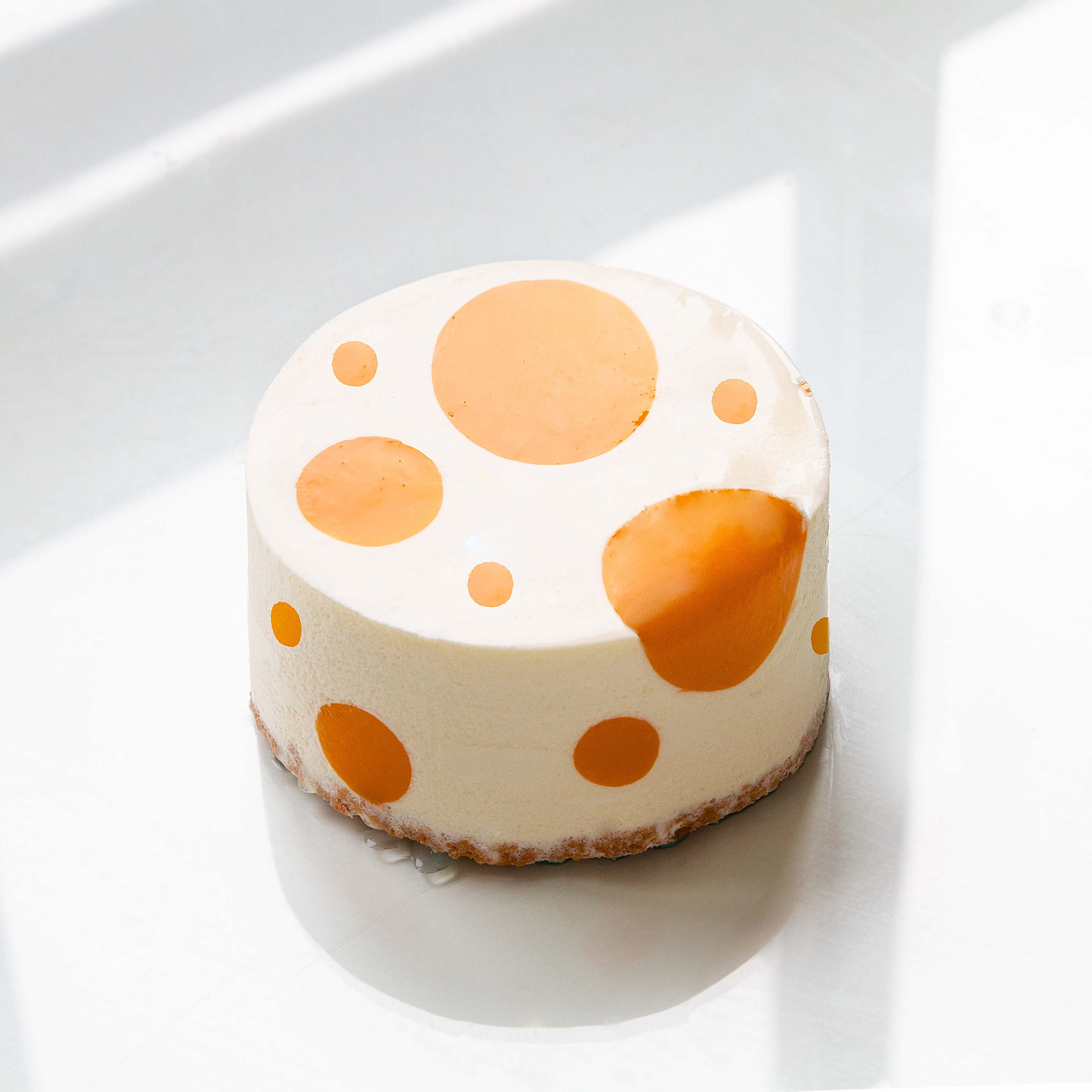 热带雨林（椰子，芒果，百香果，凤梨）