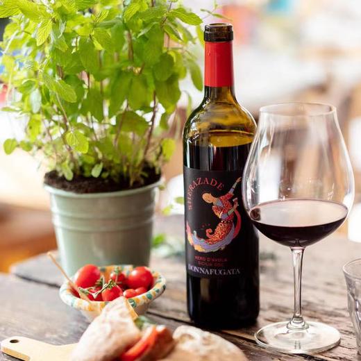 多娜佳塔东方公主红葡萄酒  2019 Donnafugata Sherazade nero d'avola2019 商品图4