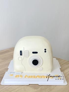 「女士」拍立得 纪念日   周年相机蛋糕