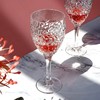 【特惠7折】捷克进口BOHEMIA  尼克莱特红酒杯北欧风轻奢家用高脚杯 商品缩略图3