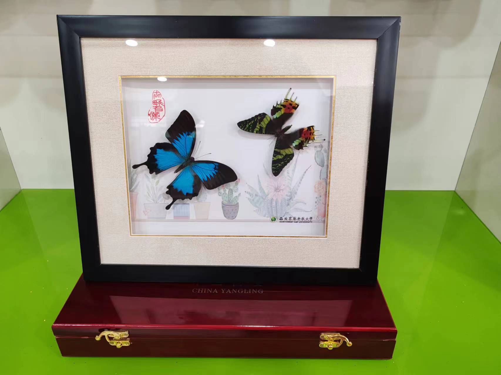 杨凌特色工艺品