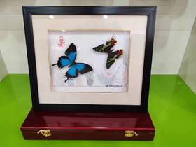 杨凌特色工艺品