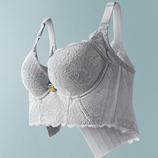 【特价39元1件】软钢圈透气聚拢调整文胸——1223102 商品图4