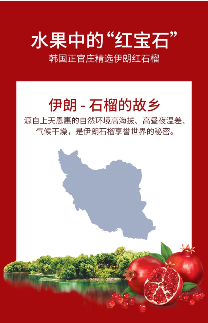 O1CN01kQ6Xht1rnevkV7MQo_!!2932255676.jpg (1500Ã�2322)