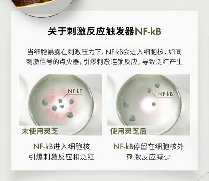 O1CN010FE9tZ1Q7WsMpVwUO_!!2113741929.jpg (1500Ã�1304)