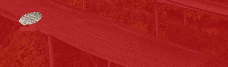 O1CN01oKUM251rnevlbpFGe_!!2932255676.jpg (1500Ã�444)