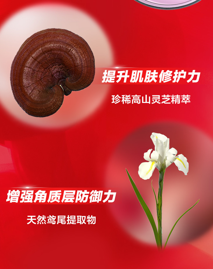 O1CN01WgWJyi1w30fj28HQI_!!2224996251.jpg (790Ã�998)