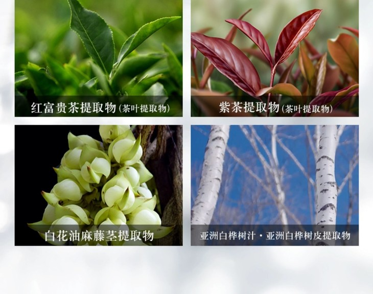 O1CN01D1yISu2214h21qyCi_!!3990497059.jpg (1500Ã�1181)