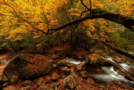 户外@【秋醉红叶-相约秦巴】光雾山-黎坪红叶节-龙头山云海-十八月潭6天 商品图5