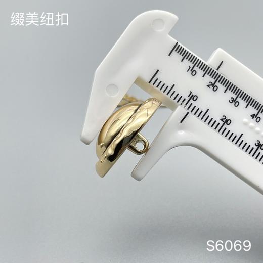S6069 商品图3