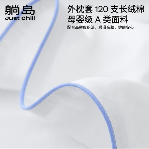 躺岛高效分区羽绒枕 商品图4