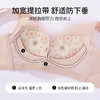 雅黛丽内衣女小胸聚拢显大文胸无钢圈收副乳防下垂性感蕾丝胸罩女 商品缩略图6