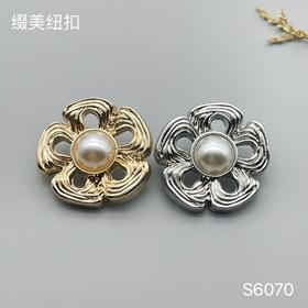S6070