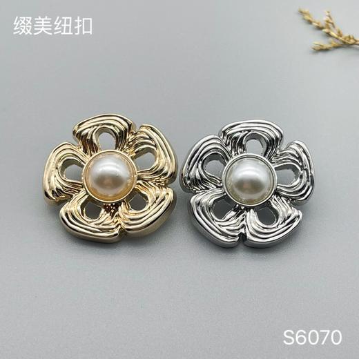 S6070 商品图0