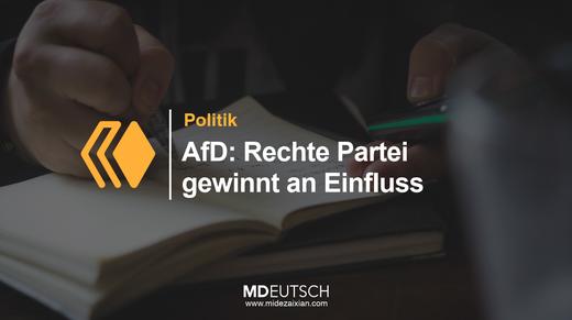 41.【政治】右翼党派影响力增强 商品图0