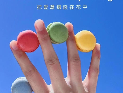 七彩迷你玛卡龙 商品图2